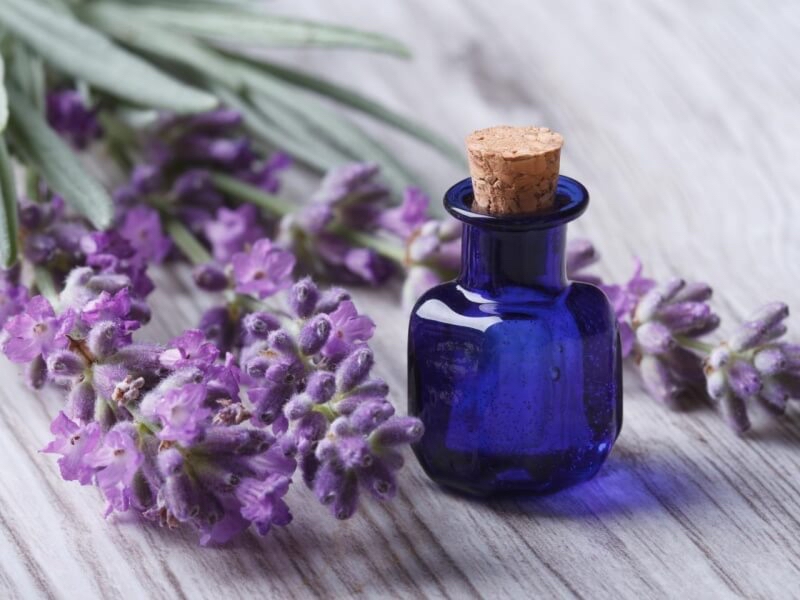 Nến thơm lavender là lựa chọn hoàn hảo cho cuộc sống tinh thần của bạn