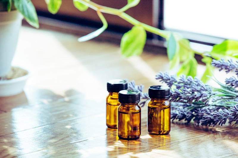 Tinh dầu giảm nóng bừng tiền mãn kinh - Tinh dầu oải hương Tinh dầu giảm nóng bừng tiền mãn kinh - Tinh dầu oải hương