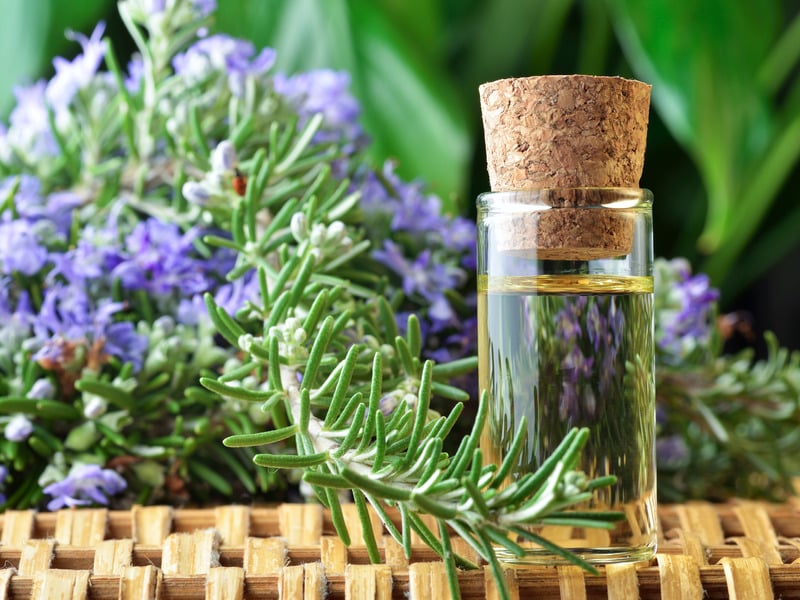 Tinh dầu tốt cho tiêu hóa tuổi trung niên - Tinh dầu gừng Tinh dầu tốt cho tiêu hóa tuổi trung niên - Tinh dầu gừng