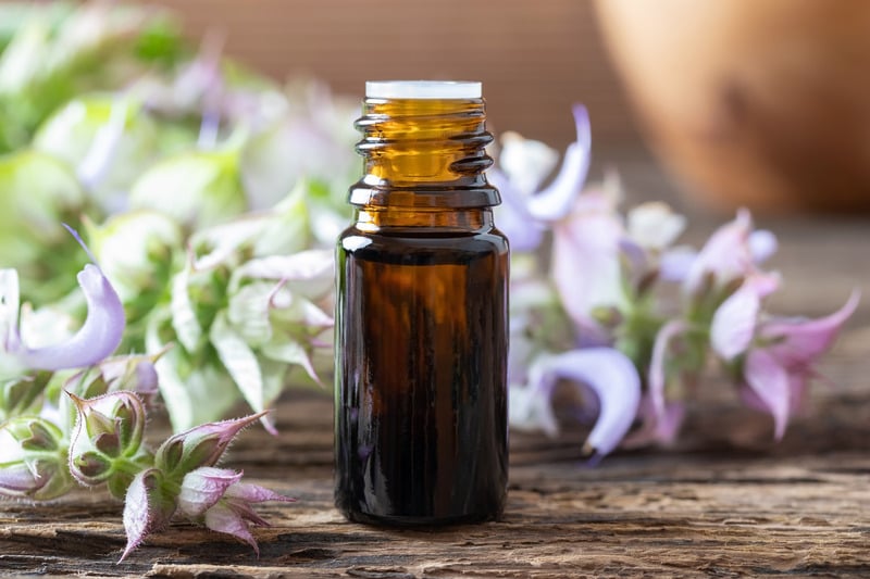 Tinh dầu clary sage giúp giảm triệu chứng tiền mãn kinh Tinh dầu clary sage giúp giảm triệu chứng tiền mãn kinh