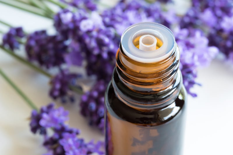 Các loại tinh dầu dưỡng ẩm da trung niên Các loại tinh dầu dưỡng ẩm da trung niên