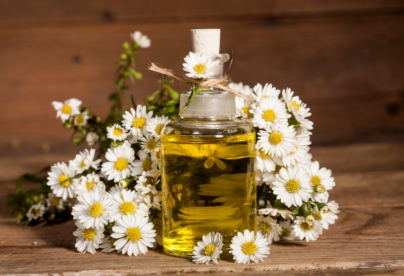 Tinh dầu điều hòa nội tiết tố nữ - Tinh dầu hoa oải hương Tinh dầu điều hòa nội tiết tố nữ - Tinh dầu hoa oải hương