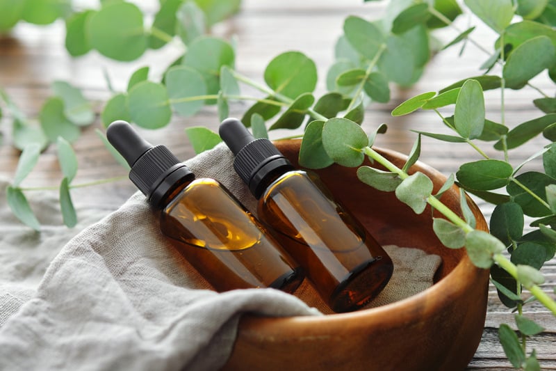 Lợi ích và tác dụng của tinh dầu bạc hà Cách làm tinh dầu bạc hà