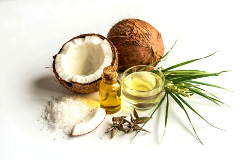 Các phương pháp làm tinh dầu dừa phổ biến Các phương pháp làm tinh dầu dừa phổ biến