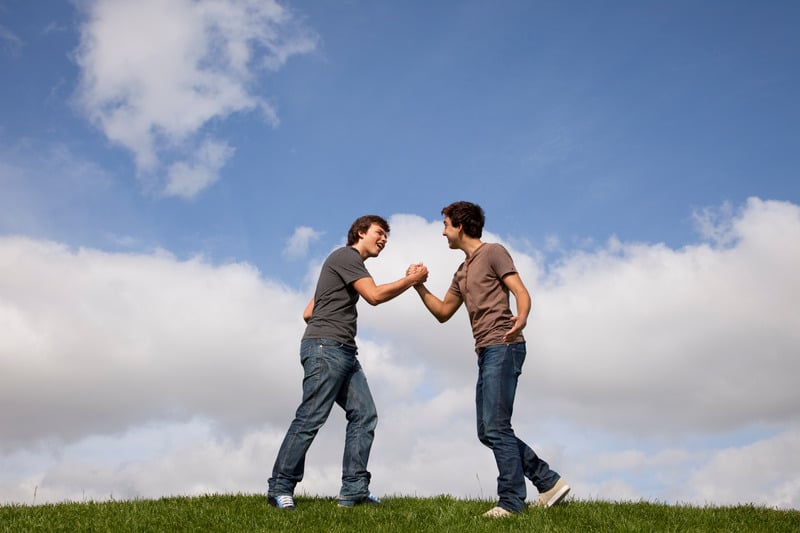 Bảo Bình hợp cung nào nhất?