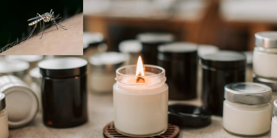 cách làm nến thơm đuổi muỗi