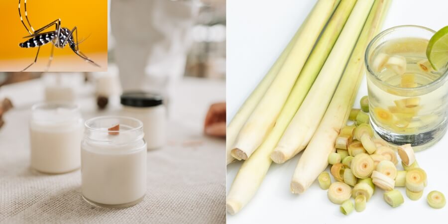 cách làm nến thơm đuổi muỗi