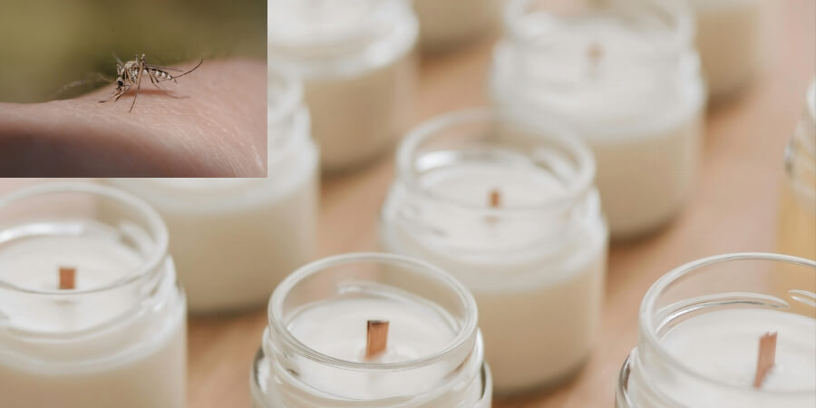 cách làm nến thơm đuổi muỗi