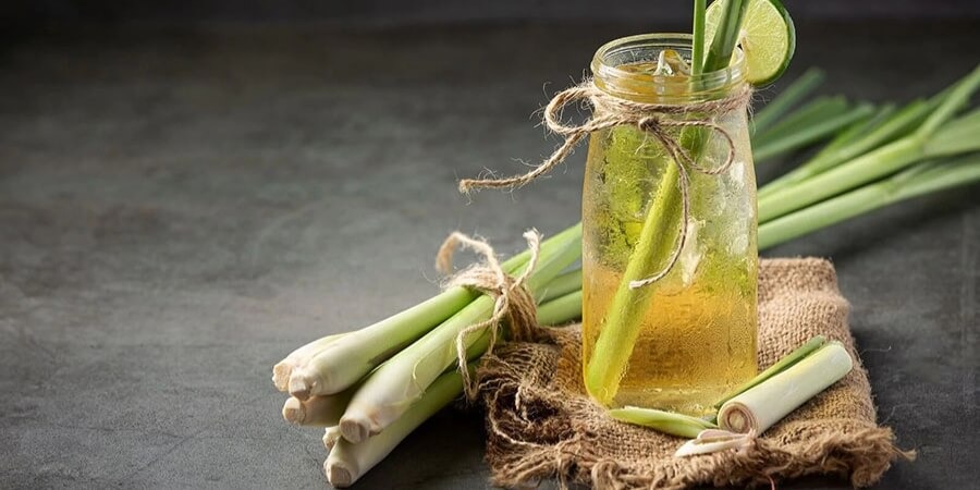 Cách làm tinh dầu sả tại nhà