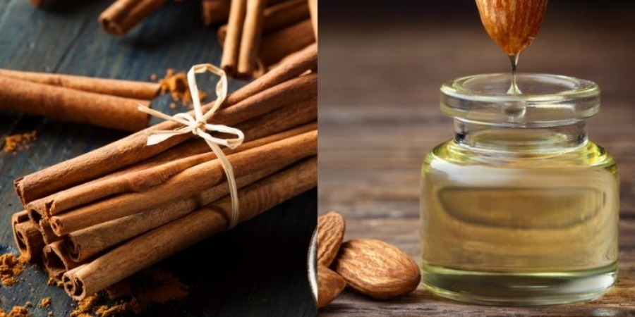 Cách làm tinh dầu sả quế từ thanh quế khô