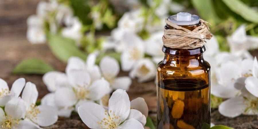 Cách làm tinh dầu hoa bưởi tại nhà