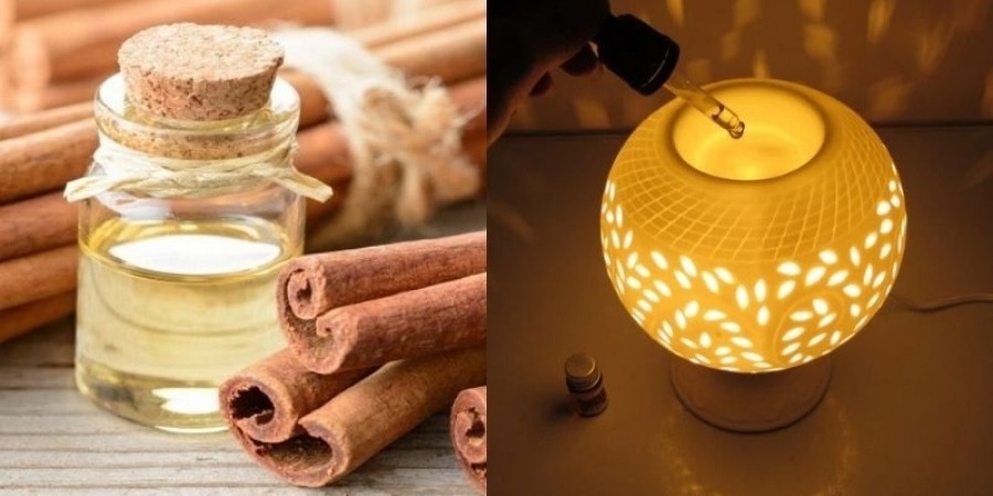 Cách làm tinh dầu sả quế hỗ trợ kháng khuẩn, vi sinh