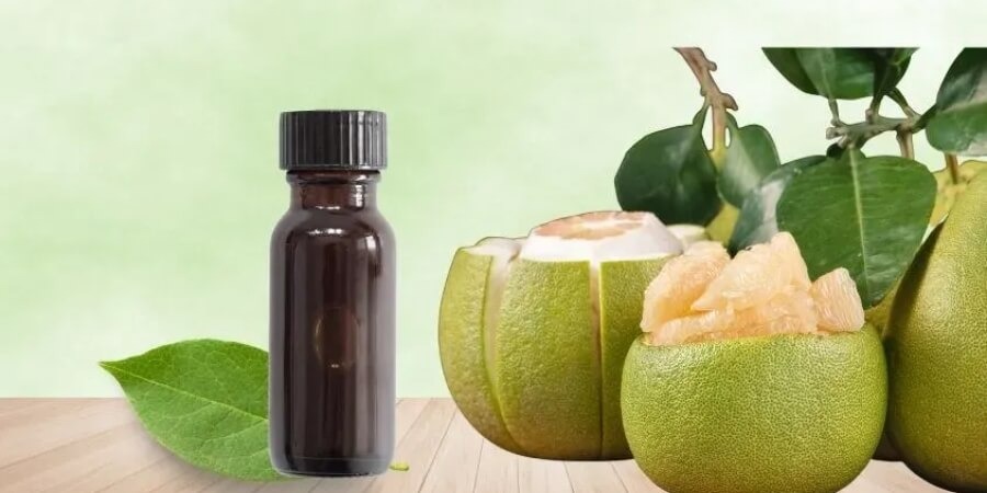 Cách bảo quản tinh dầu bưởi tự làm đơn giản