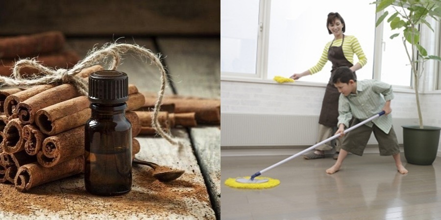 Cách làm tinh dầu sả quế nước lau sàn