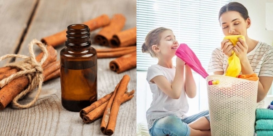Cách làm tinh dầu sả quế thơm quần áo