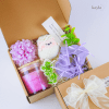 Set Qua Nen Thom Laurent Muse Sweet Purple