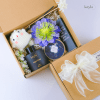 Set Qua Tinh Dau Aqua Muse