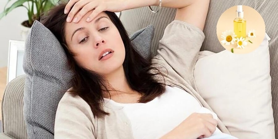 Cách làm tinh dầu hoa cúc giúp cơ thể thư thái
