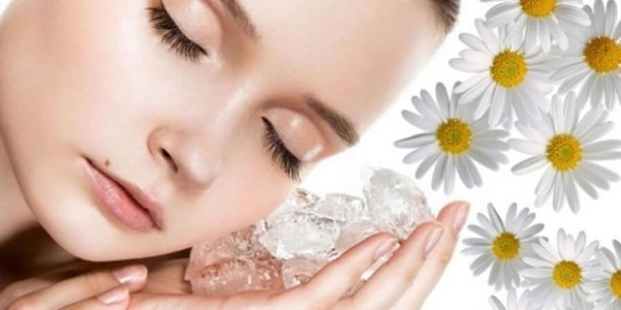 Cách làm tinh dầu hoa cúc chăm sóc da mềm mại