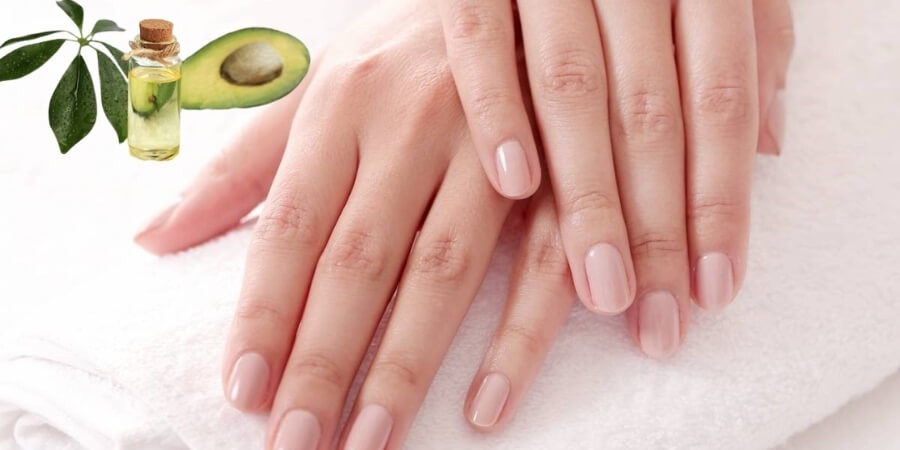 Tinh dầu bơ làm đẹp chăm sóc móng tay