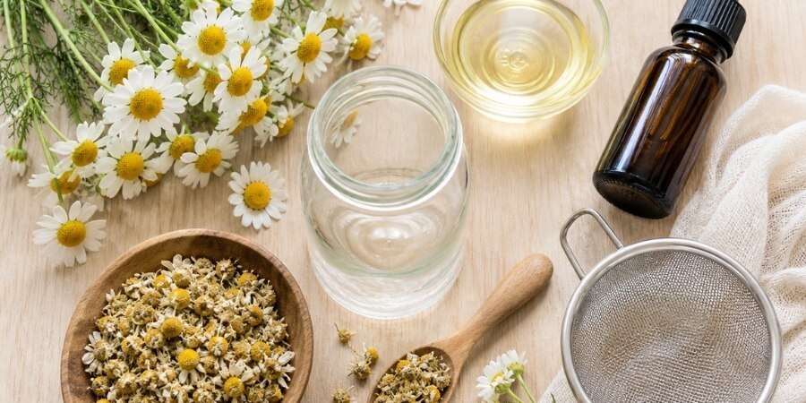 Cách làm tinh dầu hoa cúc nguyên liệu cần có để làm tinh dầu