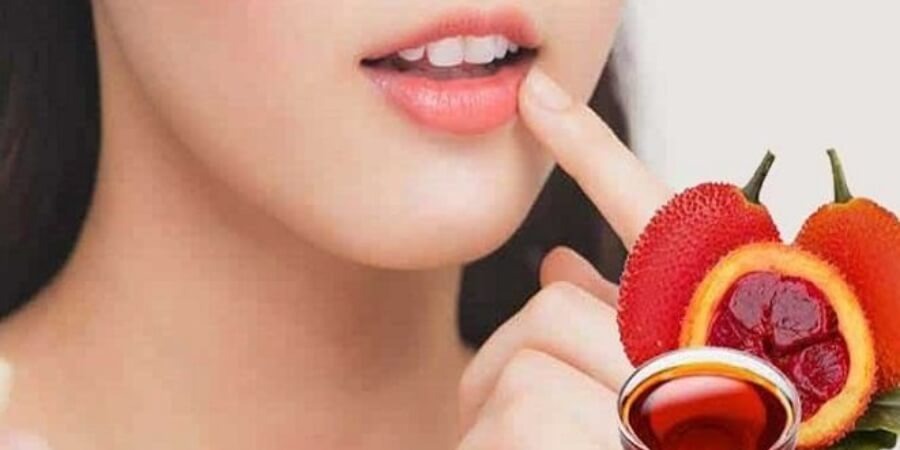 Cách làm tinh dầu gấc dưỡng môi hiệu quả tại nhà