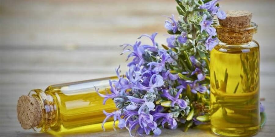 Cách làm tinh dầu hương thảo ở nhà dẫ làm