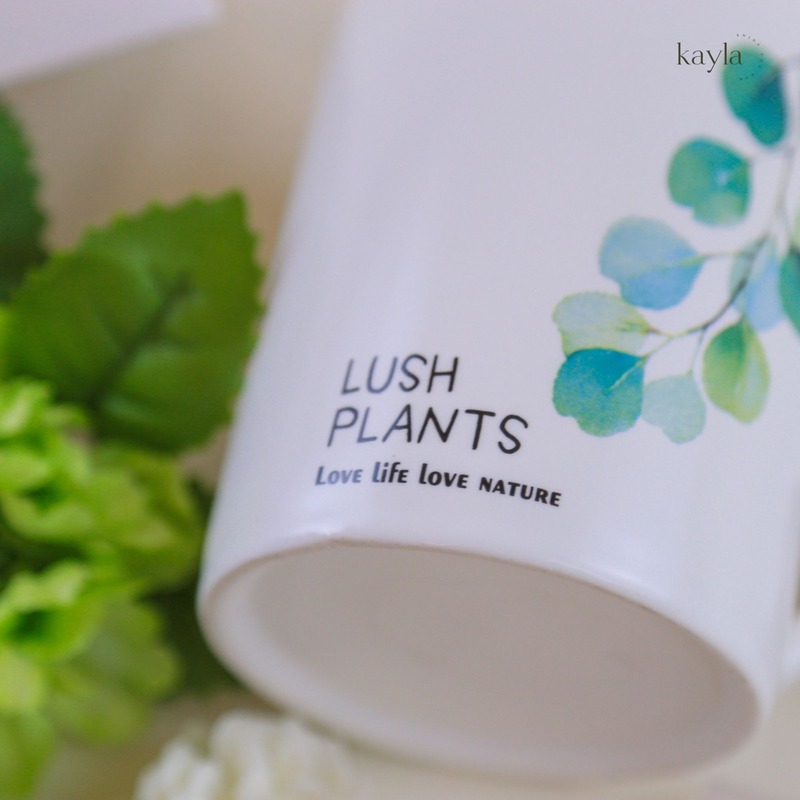 Set Quà Tặng Tinh Dầu Nuit d’Ambre Fresh Garden