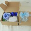 Set Qua Hoa Xanh Thanh Nha