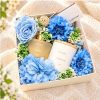 Set Qua Tang Nen Thom White Tea Tinh Dau Khuech Tan Solibre Thanh Khiet Diu Dang